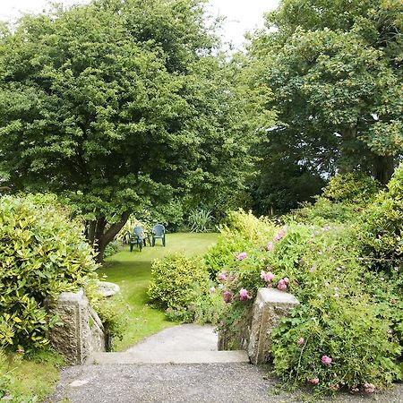 Chy Morvah Pension St Ives Buitenkant foto